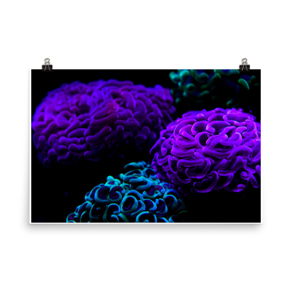 Photo paper poster