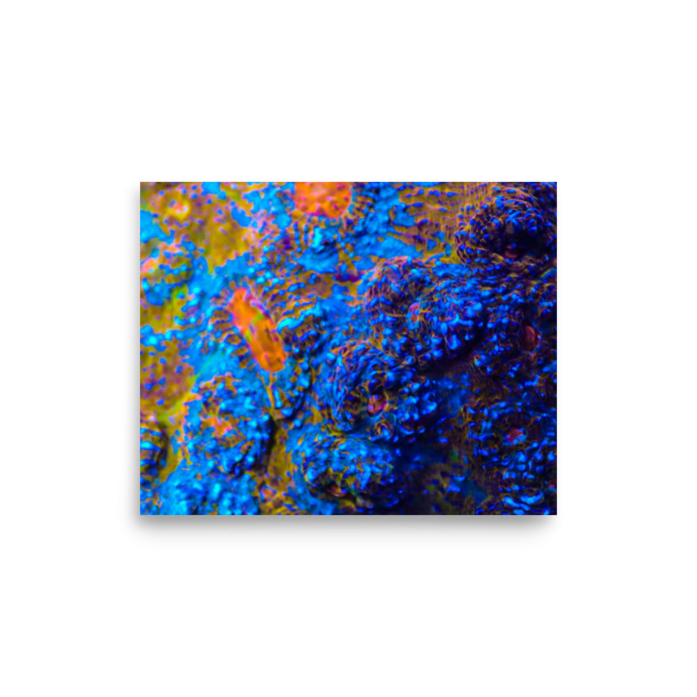 Martian Tundra - Fine Art Print - Coral Reef Photography Art