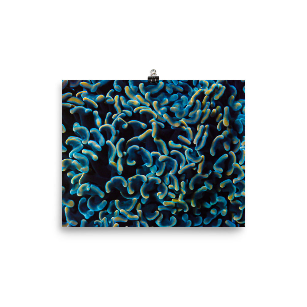 Below The Horizon - Fine Art Print - Coral Reef Photography Art