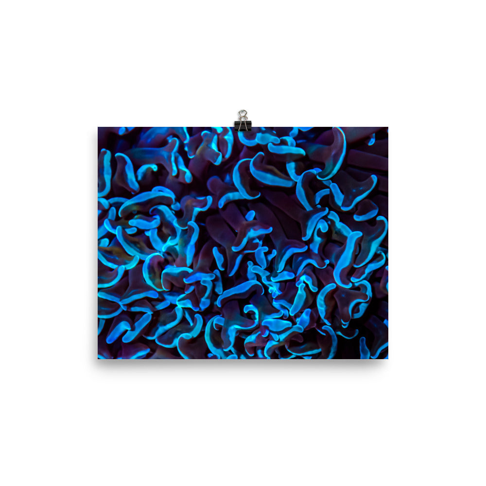 Chocolate Tides  - Canvas - Coral Reef Photography Art