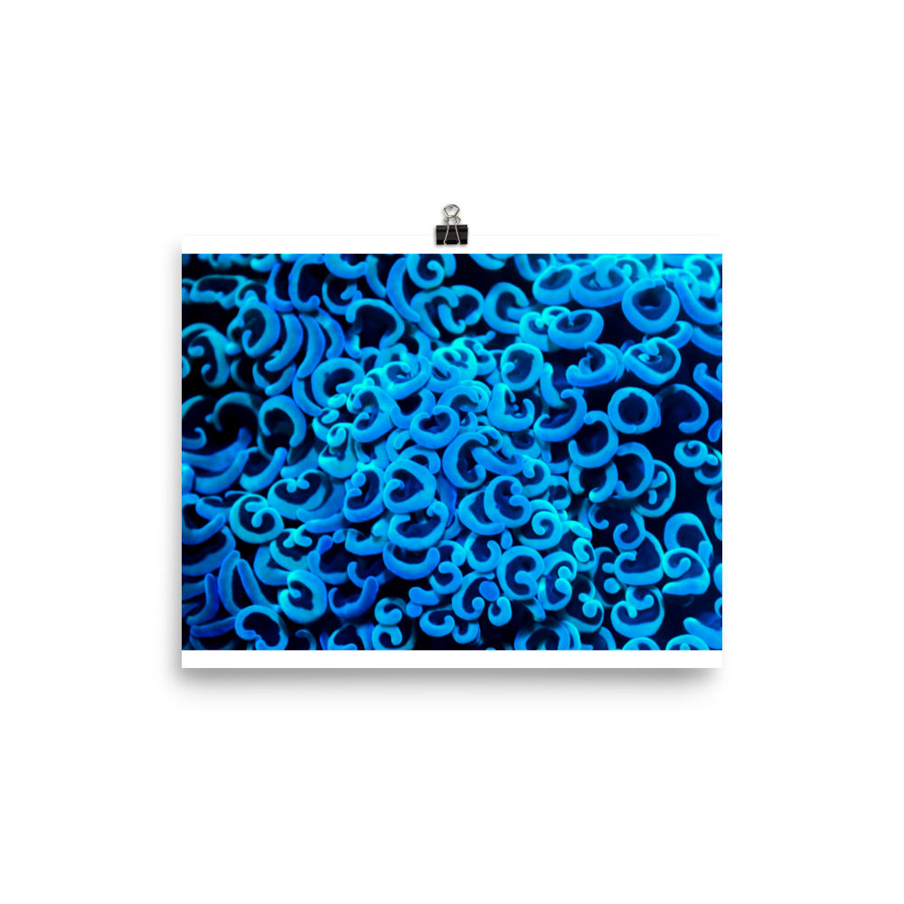 Photo paper poster