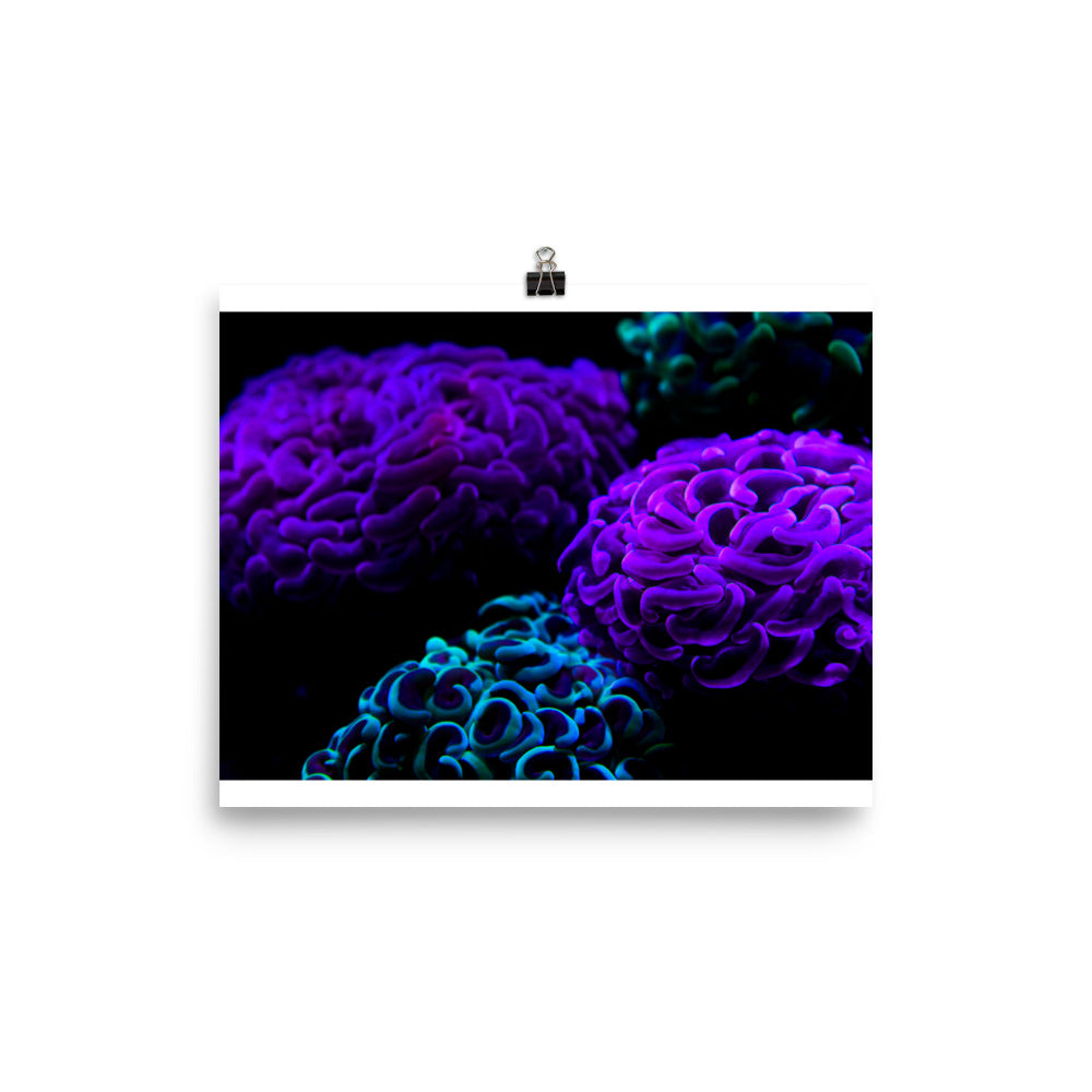 Photo paper poster
