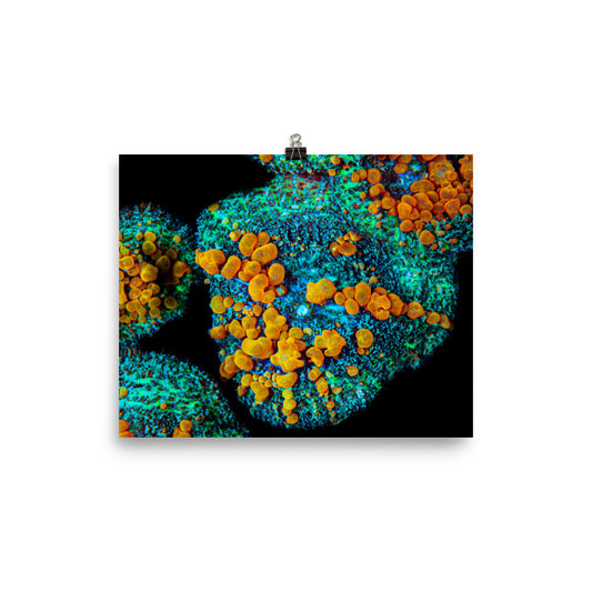 Breakout - Fine Art Print - Coral Reef Photography Art