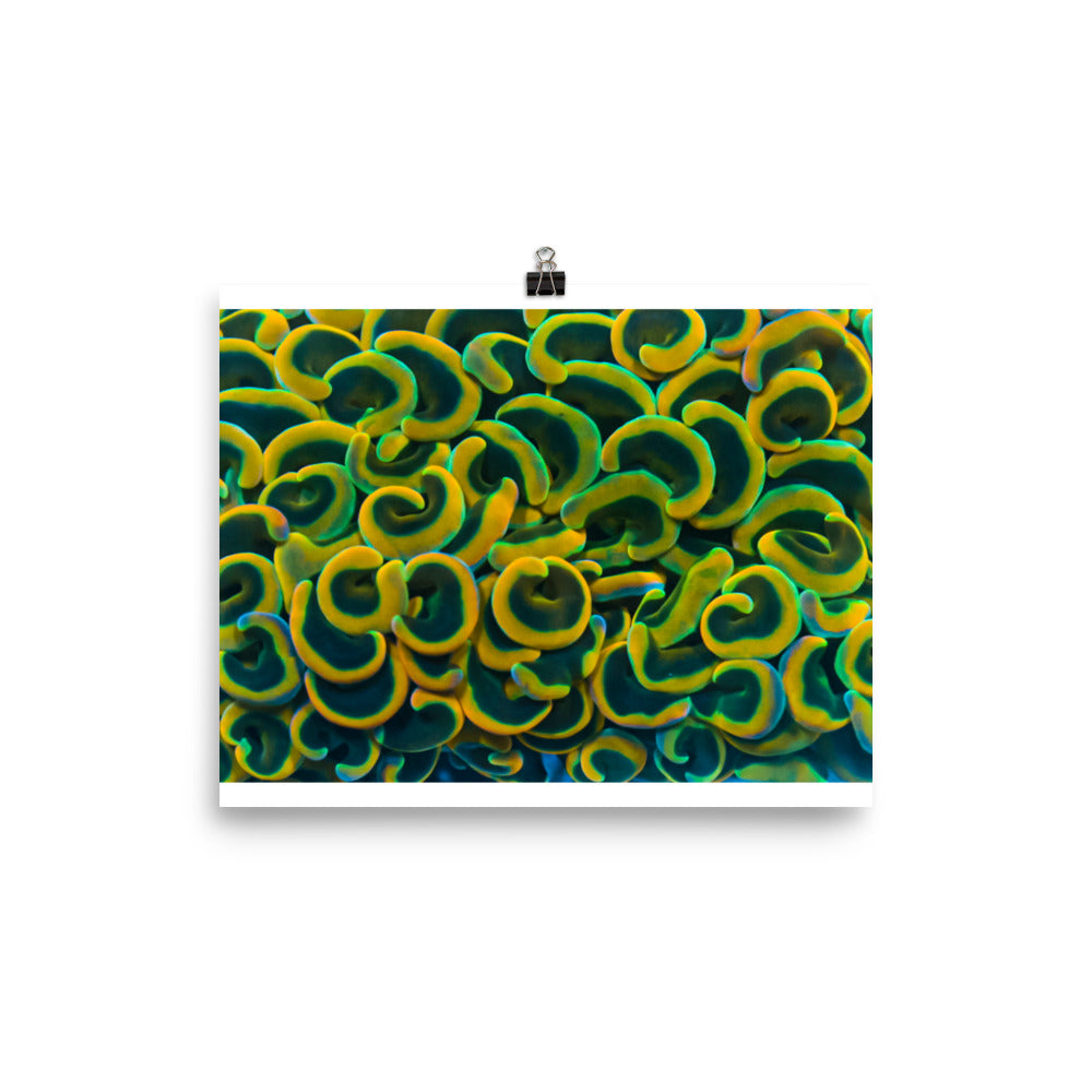 Yellow Brick Rainbow Road - Fine Art Print - Coral Reef Photography Art