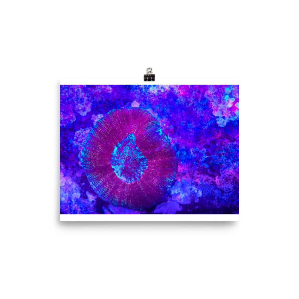 Iridescent Rain - Fine Art Print - Coral Reef Photography Art