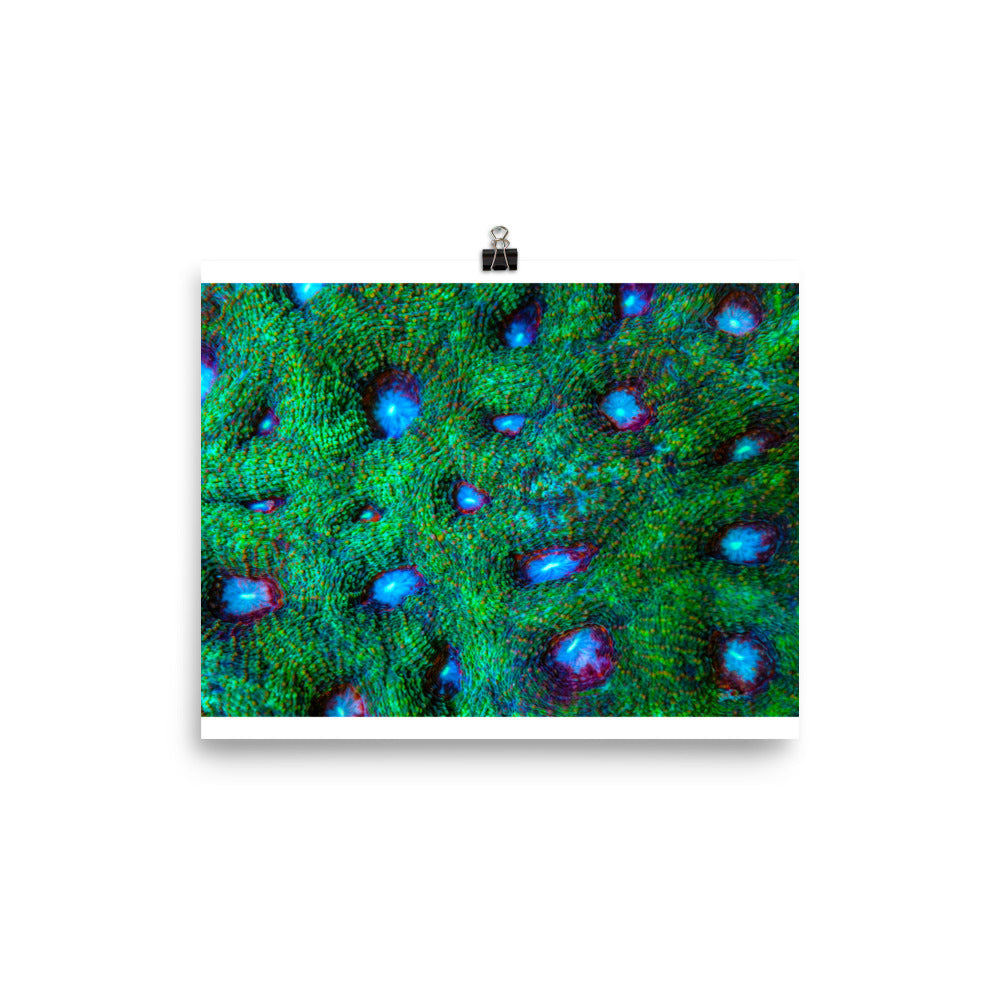Land Of Ten Thousand Lakes - Fine Art Print - Coral Reef Photography Art