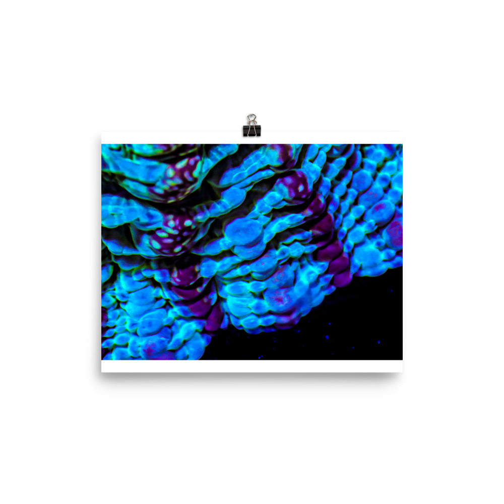 Nebulous Edge  - Fine Art Print - Coral Reef Photography Art