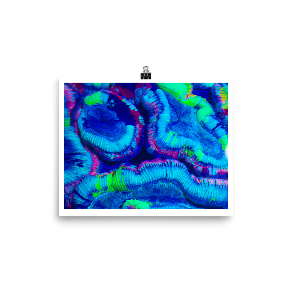 Rave Paint - Fine Art Print - Coral Reef Photography Art