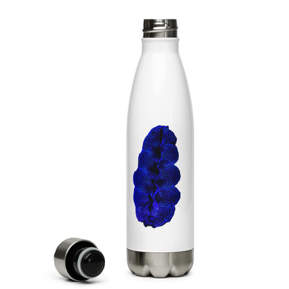 Coral Reef Inspired Stainless Steel Water Bottle - Blue Maxima