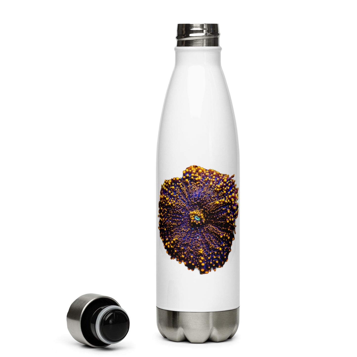Coral Reef Inspired Water Bottle - Orange Ricordea Yuma